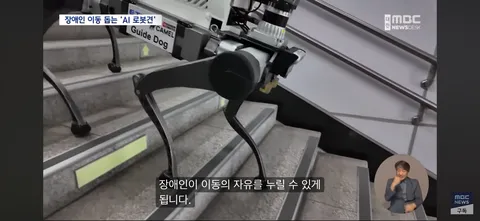 시각장애인 ‘새 눈’ 될까...'AI 안내견'