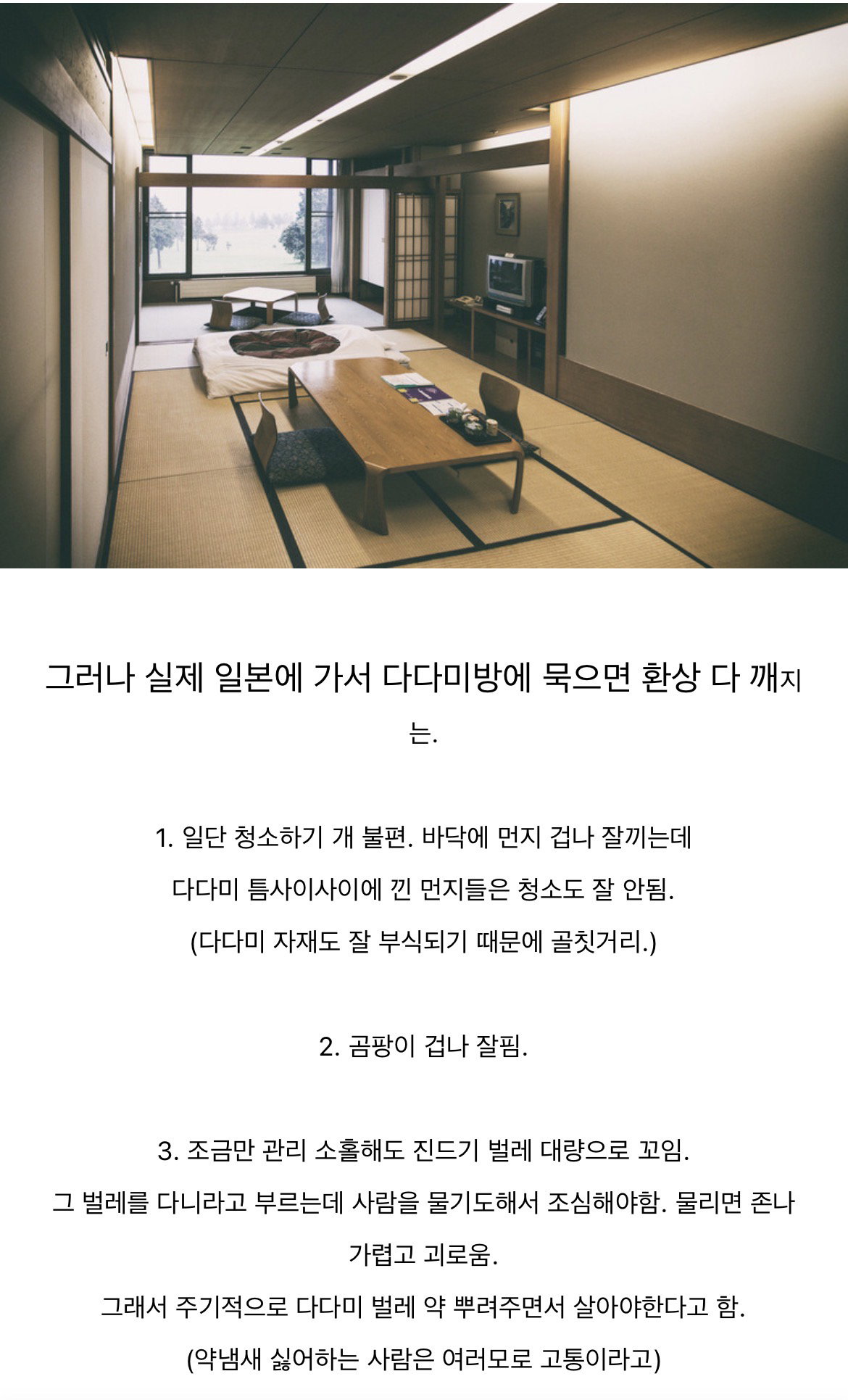일본 가면 그 실체에 기겁한다는 다다미