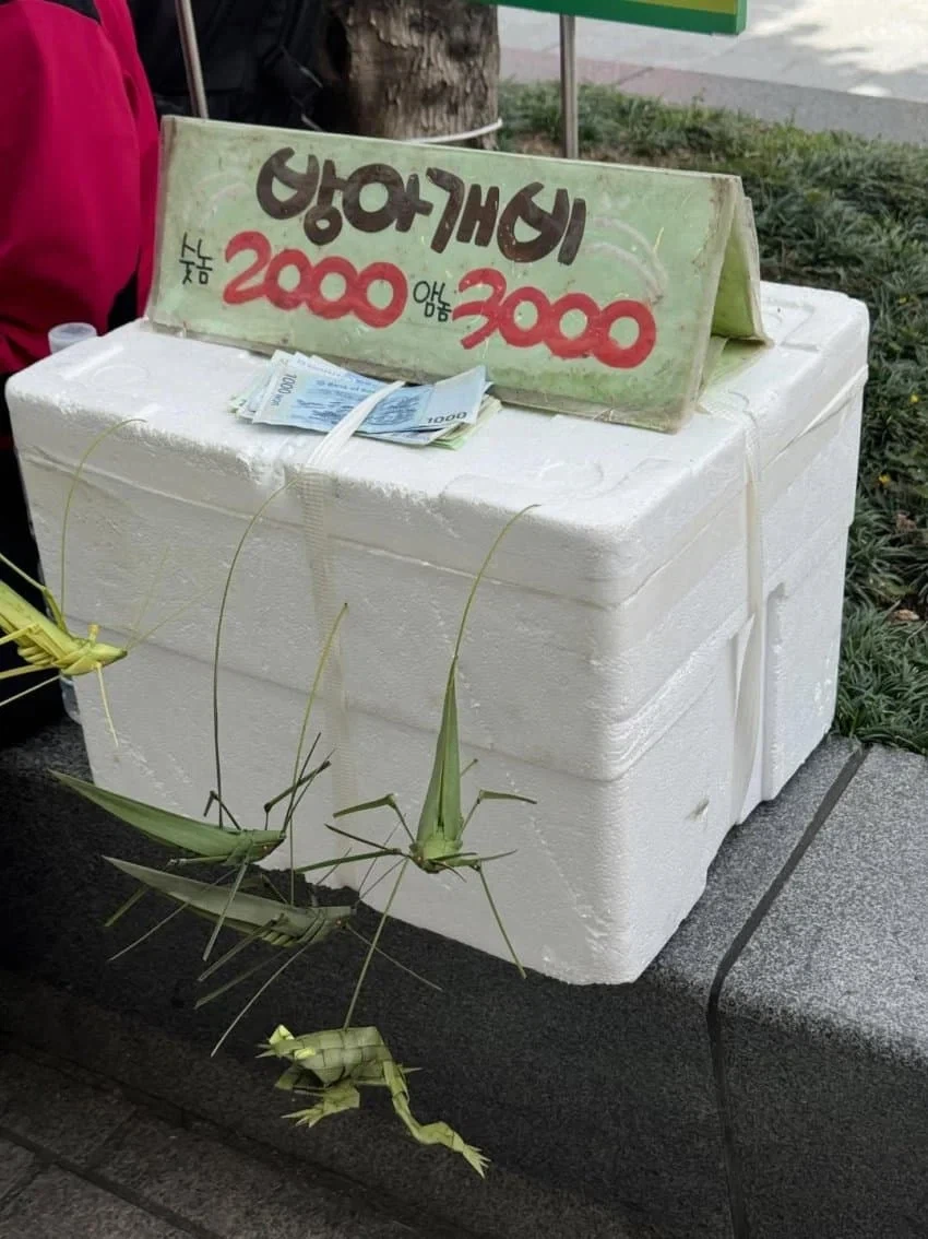 "이런 시장 바닥에서 뭐 살게 있다고..."