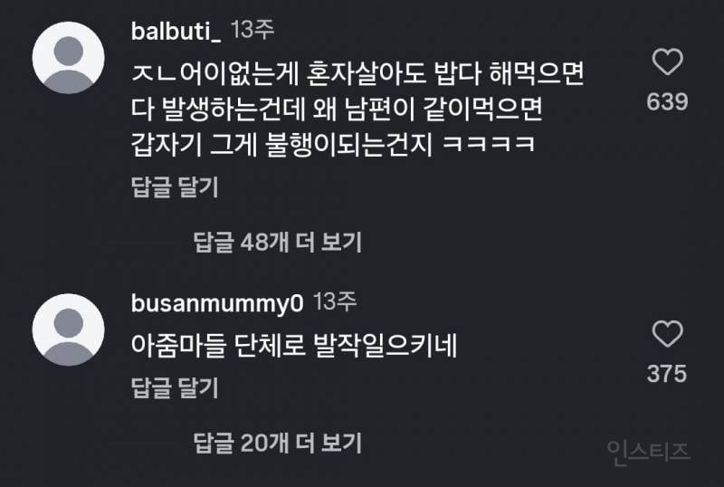 26살 주부 남편 밥차리는데 악플