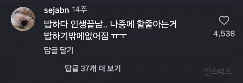26살 주부 남편 밥차리는데 악플