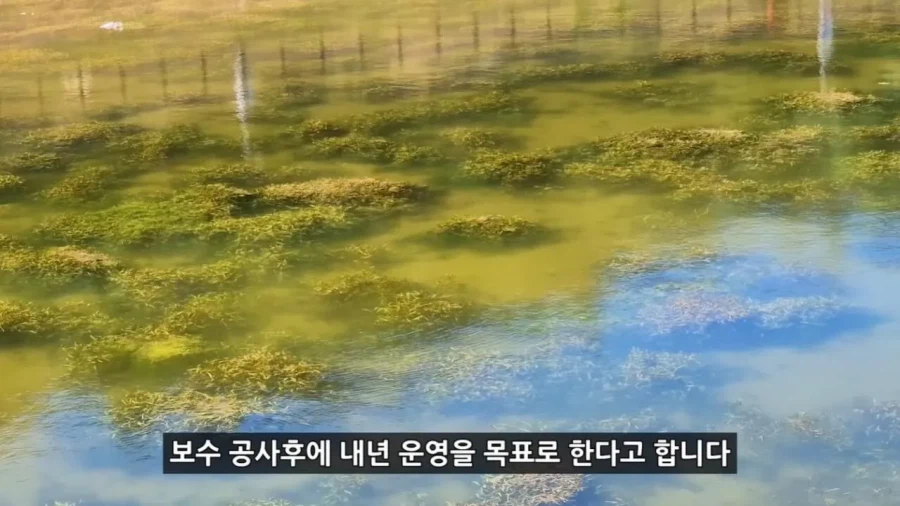 정부 예산 430억으로 새로 만든 워터파크 후기
