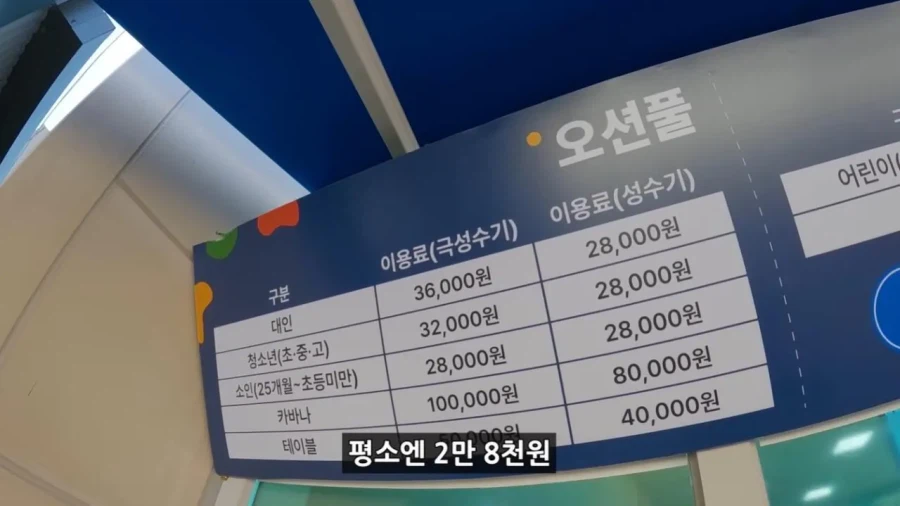 정부 예산 430억으로 새로 만든 워터파크 후기