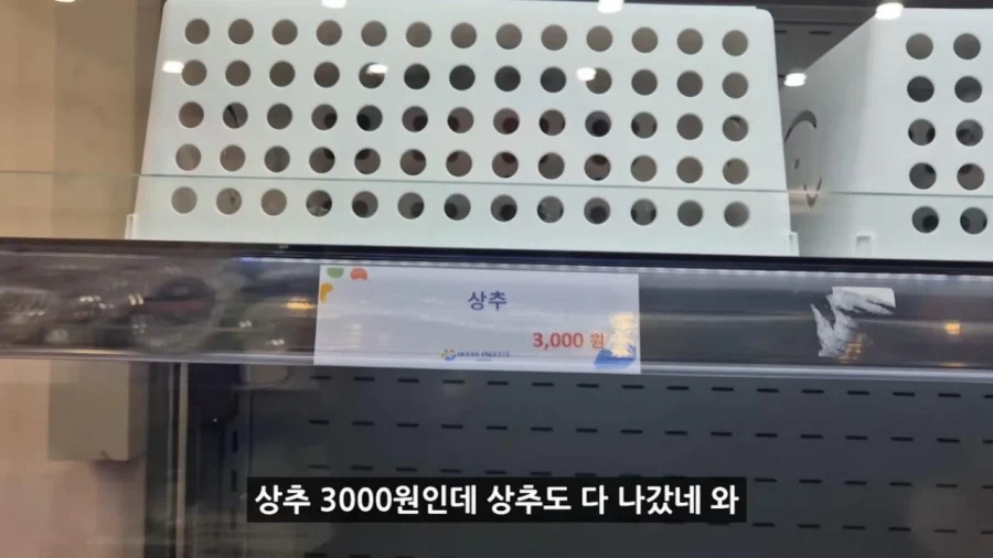 정부 예산 430억으로 새로 만든 워터파크 후기