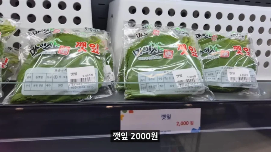 정부 예산 430억으로 새로 만든 워터파크 후기