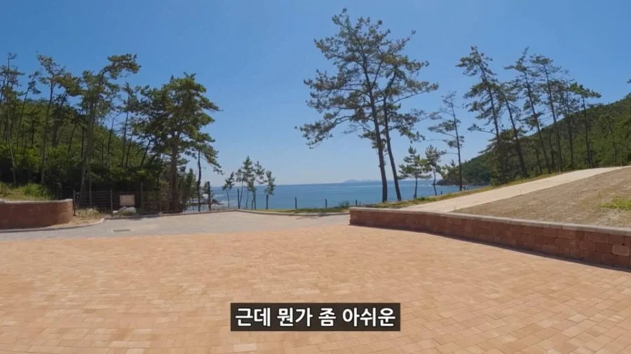 정부 예산 430억으로 새로 만든 워터파크 후기