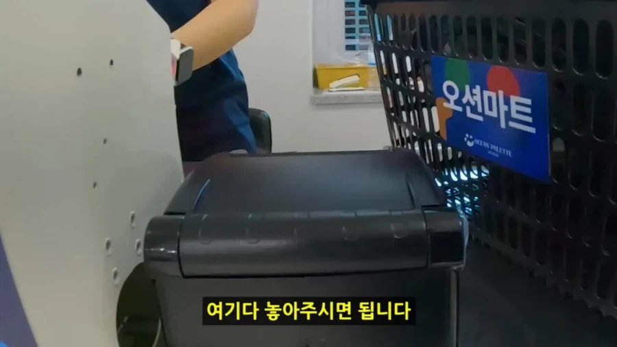 정부 예산 430억으로 새로 만든 워터파크 후기
