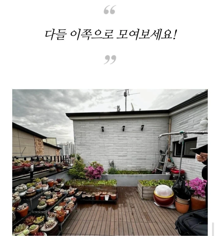 보라색 조명을 쓴다고 경찰에 신고당한 집