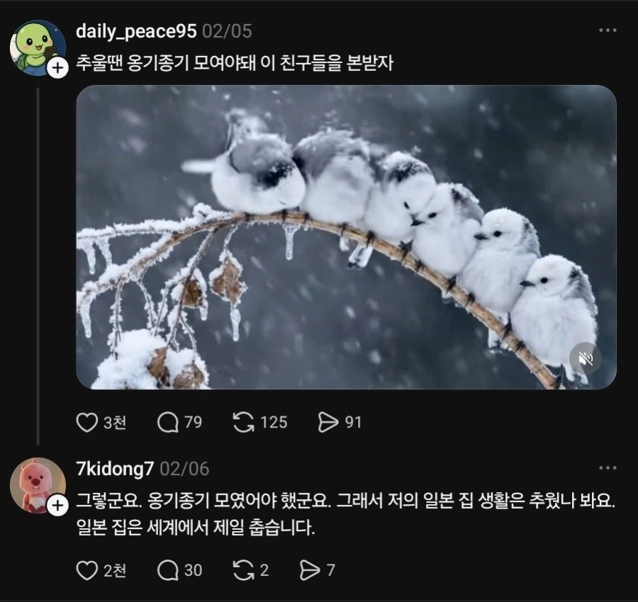 광복절에 돌아운 일본집춥좌