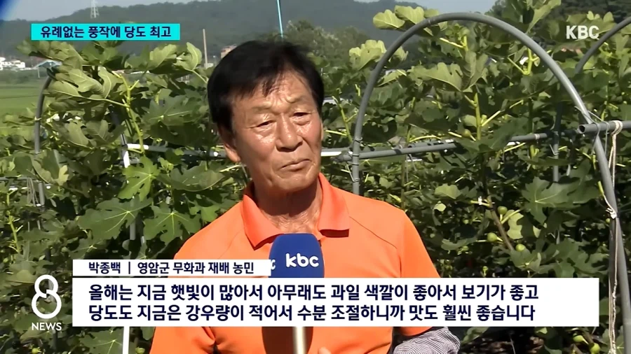 요즘 대자연이 ppl중인 과일.jpg