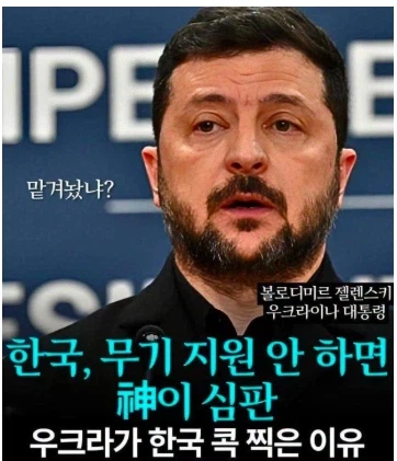 우크라니아 외교 전략 평가 대해서 억울한 부분