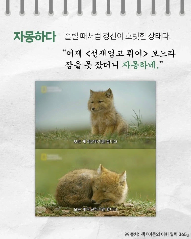 귀여운 우리말