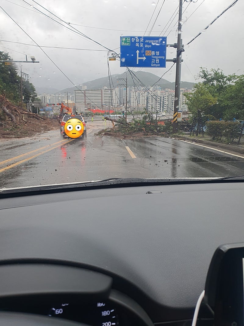 거제 심각한데 복구도 부지런히 하는중