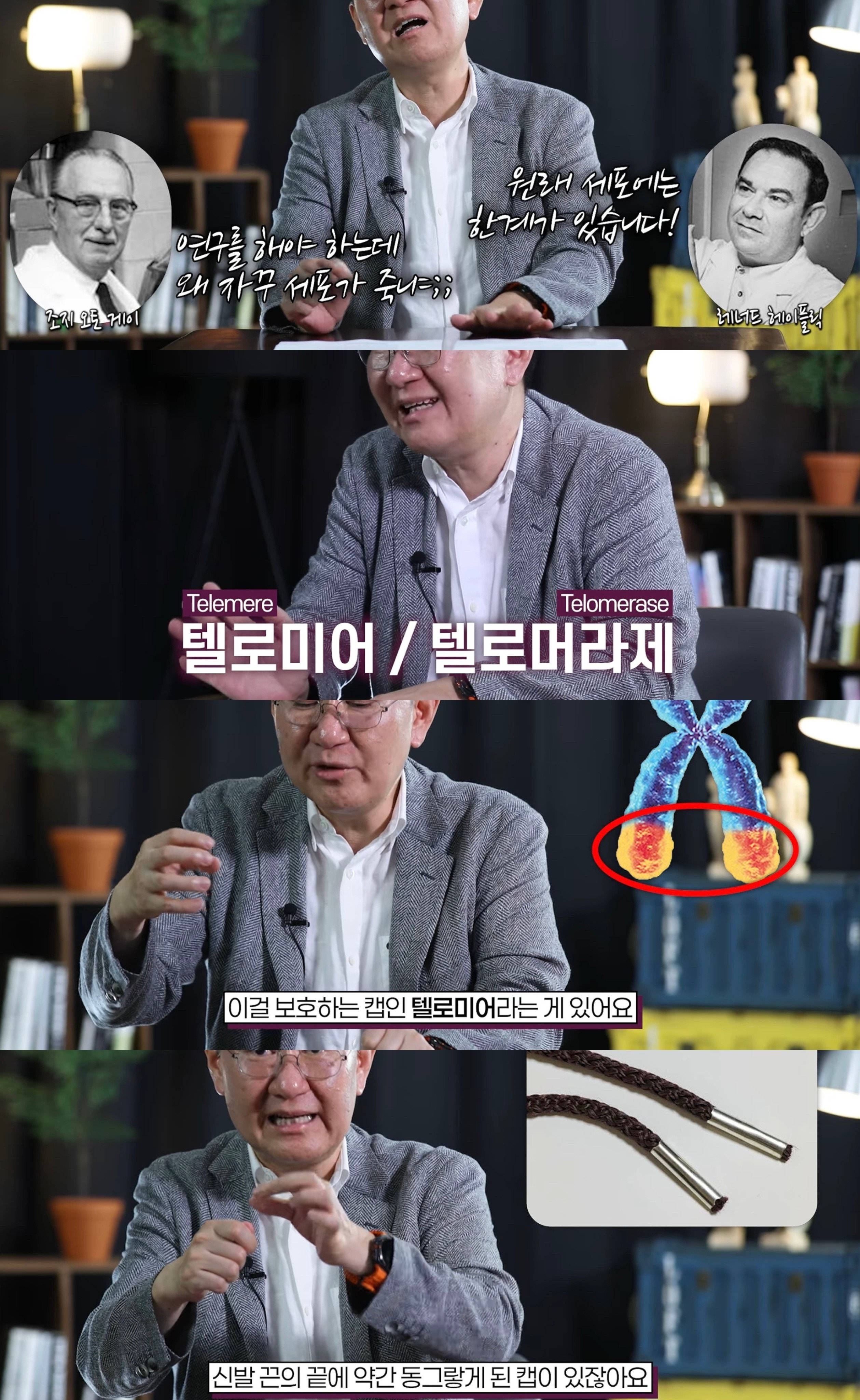 전인류를 구한 여성 헨리에타 랙스의 세포