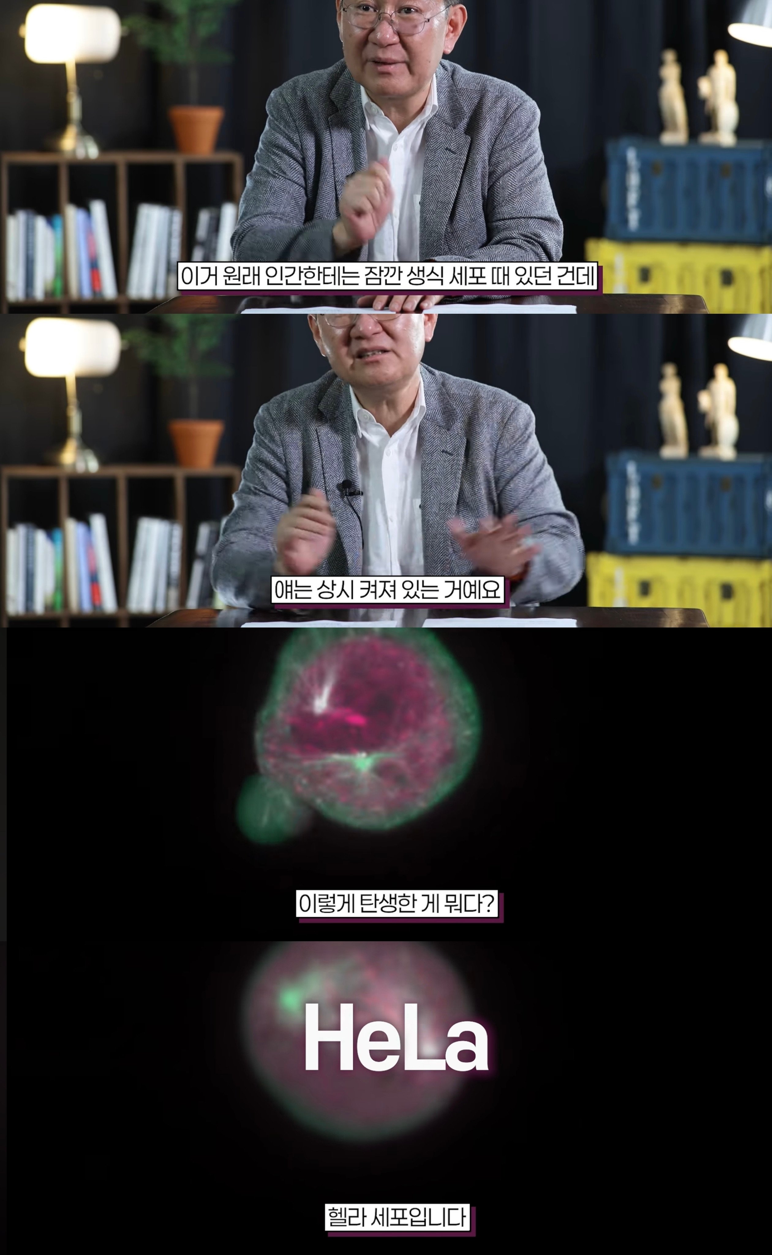 전인류를 구한 여성 헨리에타 랙스의 세포