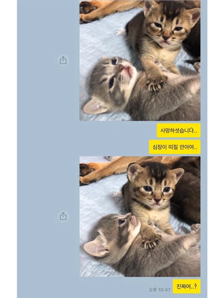 기독교도(가톨릭)로서 현대미디어를 볼때마다 가끔 웃긴것