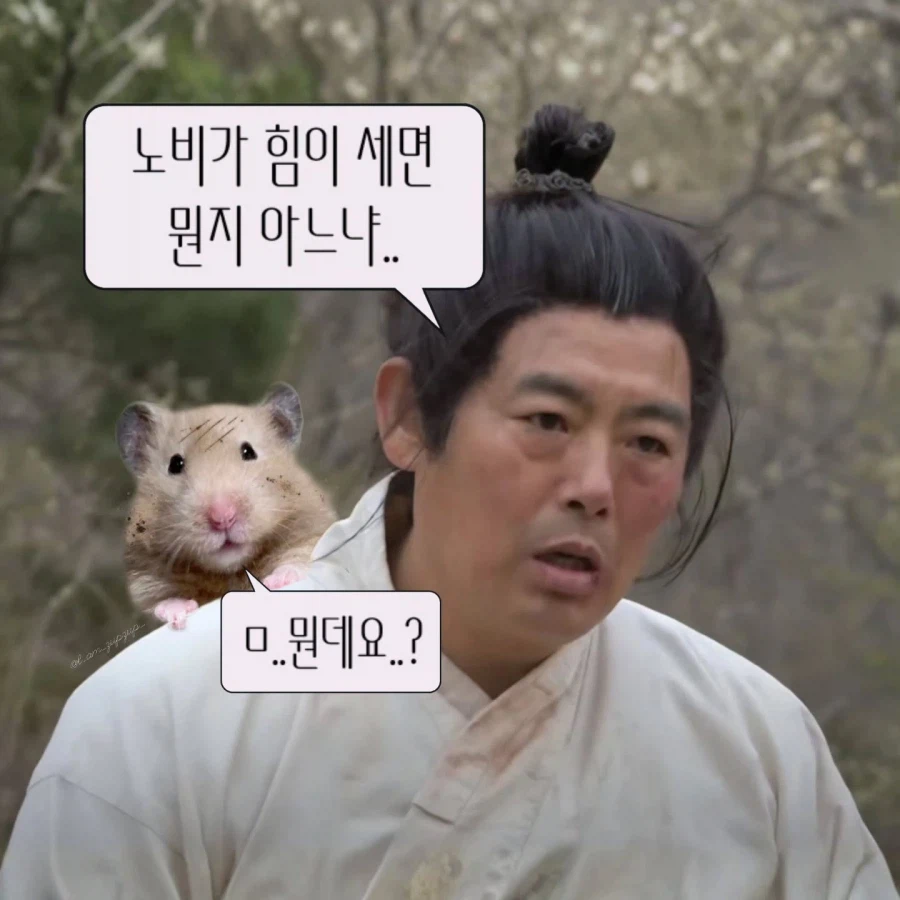 노비가 하늘을 날면?