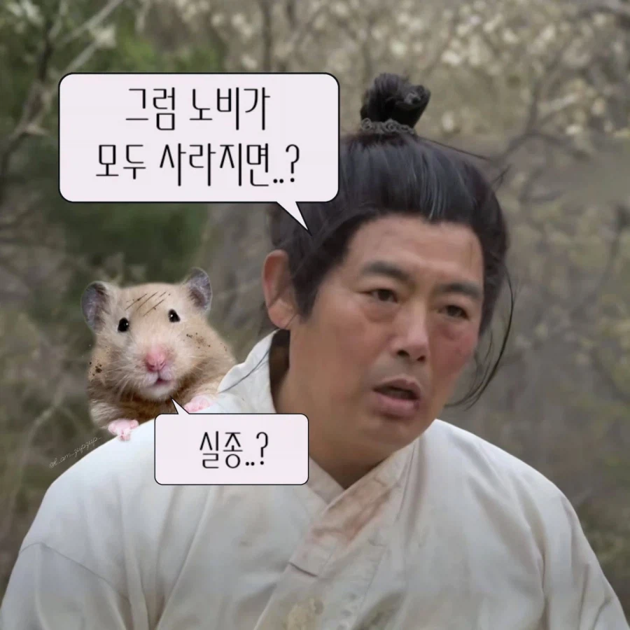 노비가 하늘을 날면?