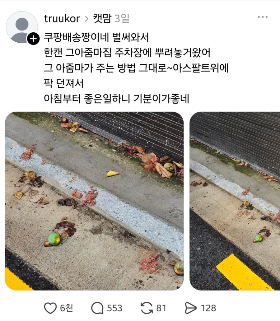 임자 제대로 맛난 캣맘