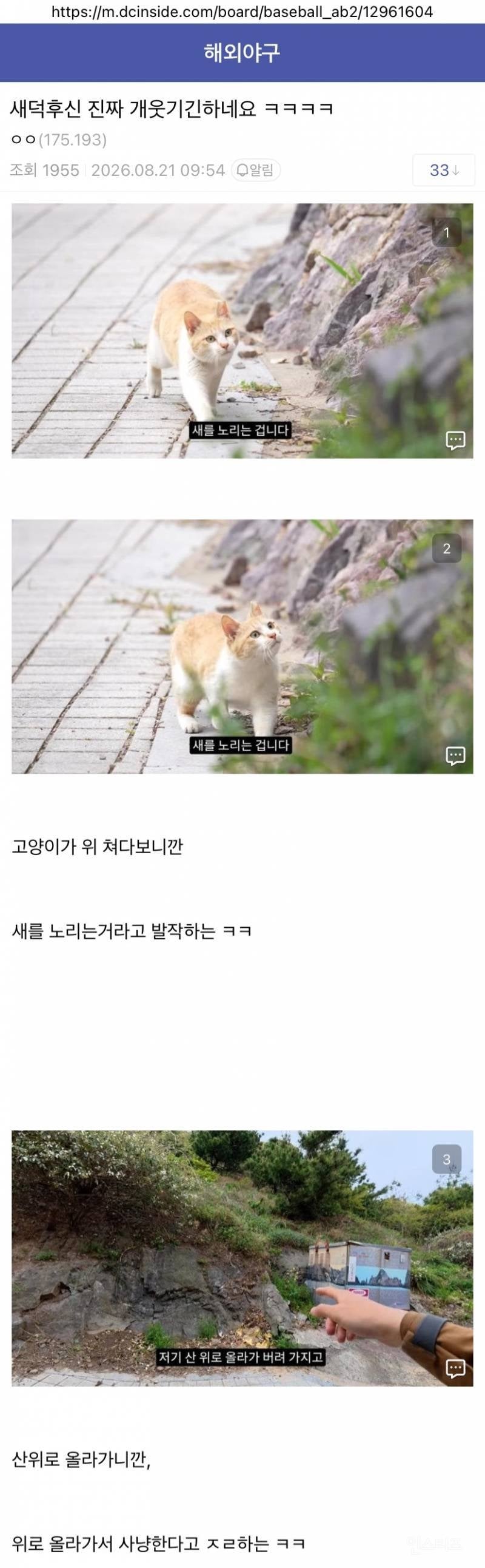 💥충격적인 새덕후 라이브 요약