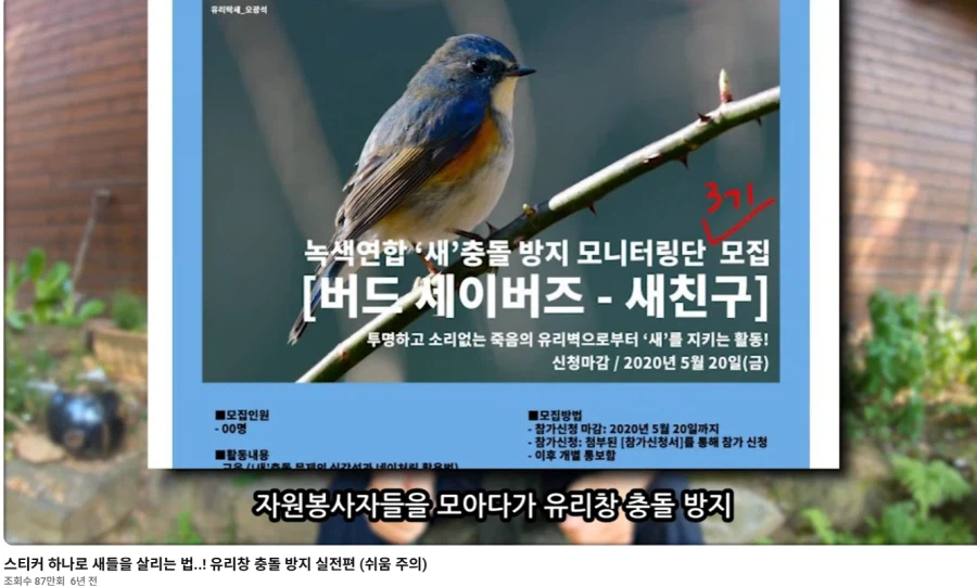 새덕후) 최재천 교수 영상 반박 Part 1