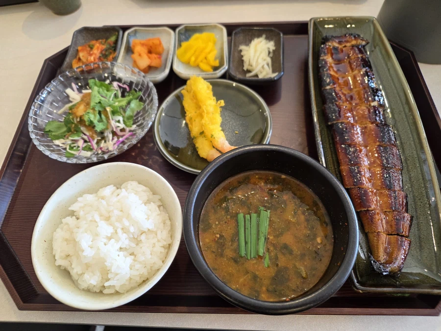 마운자로 1년차
