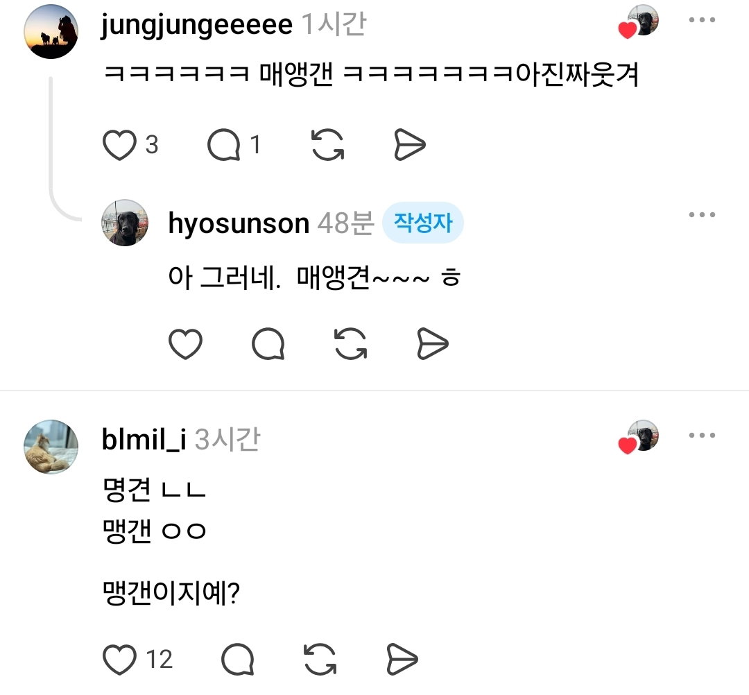 리트리버 보고 자꾸 맹견이라 우기는 아저씨 때문에 화가 난 견주