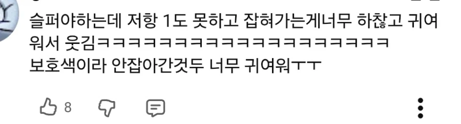 치이카와 안본사람들이 참고하면 좋은 에피소드 반응 평균