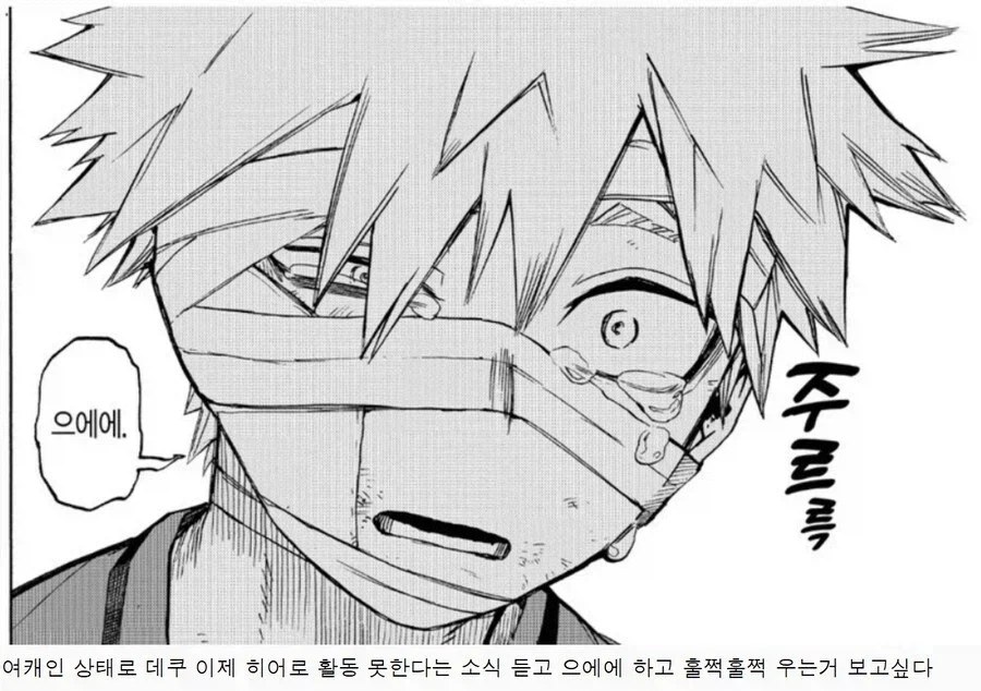 나히아)ㄹㅇ 바쿠고TS가 이 대사 치는걸 보고싶다.