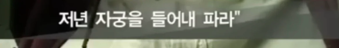 북한의 일본군 성노예 피해자 증언