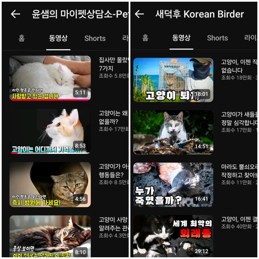 새덕후)랑 토론한 수의사 근황.jpg