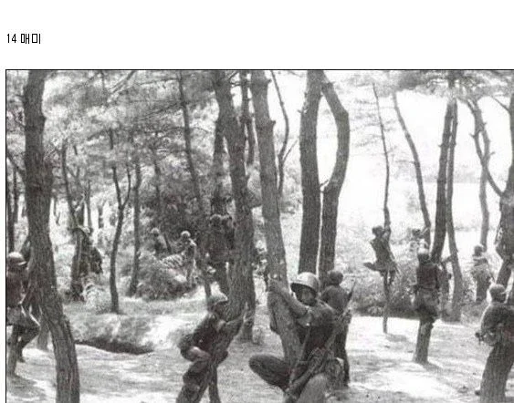 그 시절 정신병자급 군대 문화