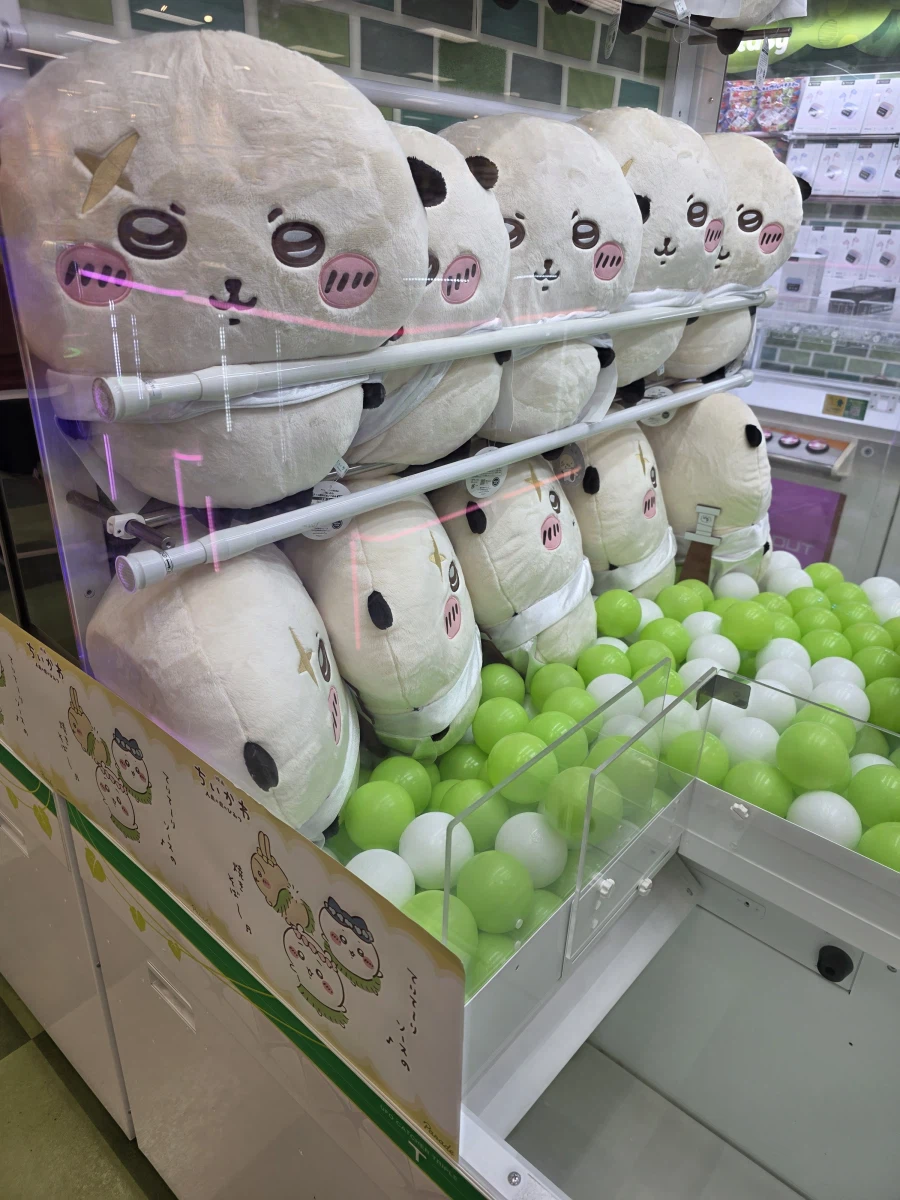 마트 장보고 집에옴