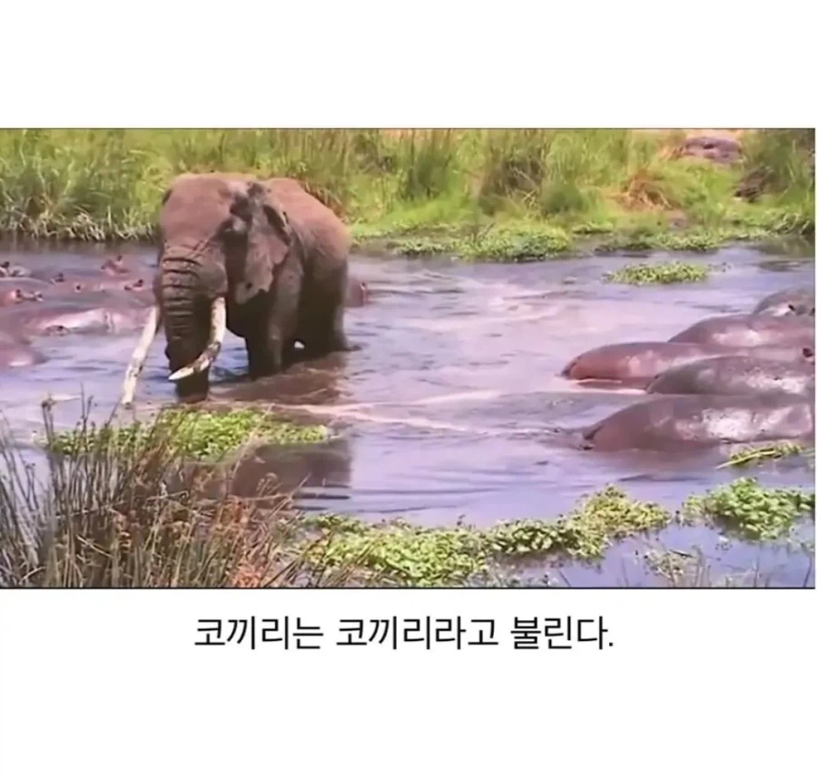 강함에는 수식어가 필요 없다