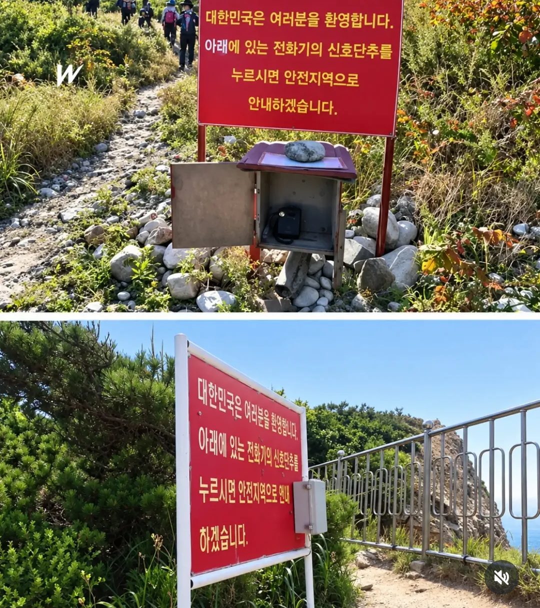 탈북 성공 시 볼 수 있는것