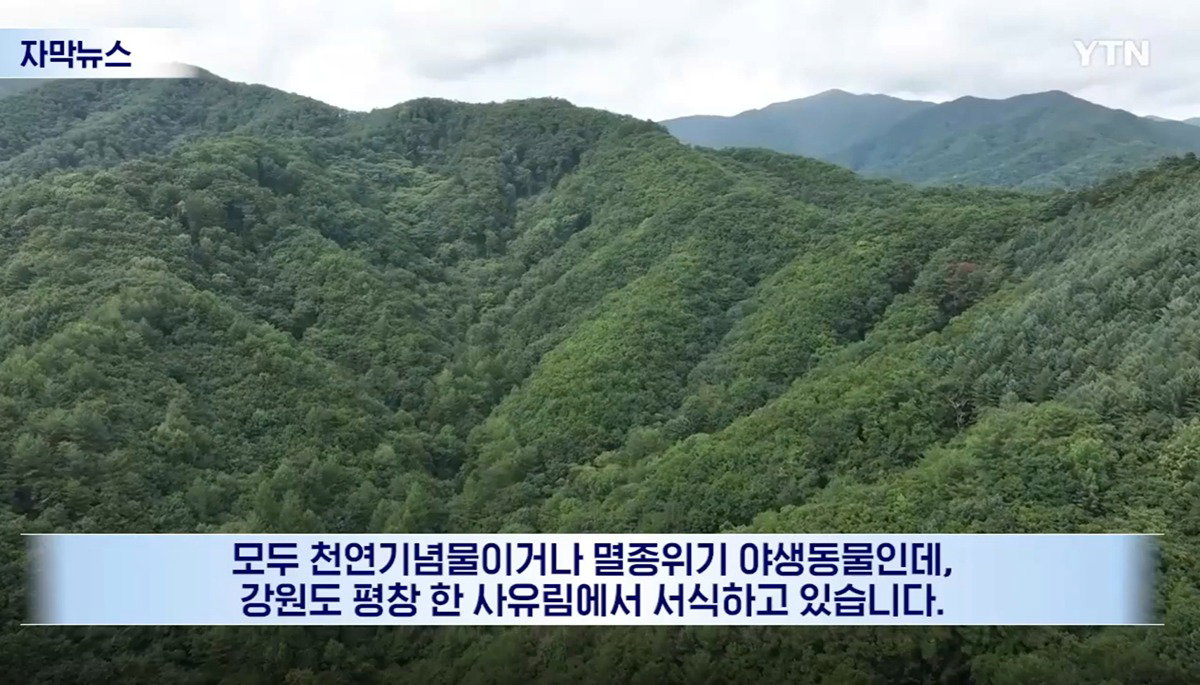 수십억 들여 숲 사놓고 아무것도 안한 이유.jpg