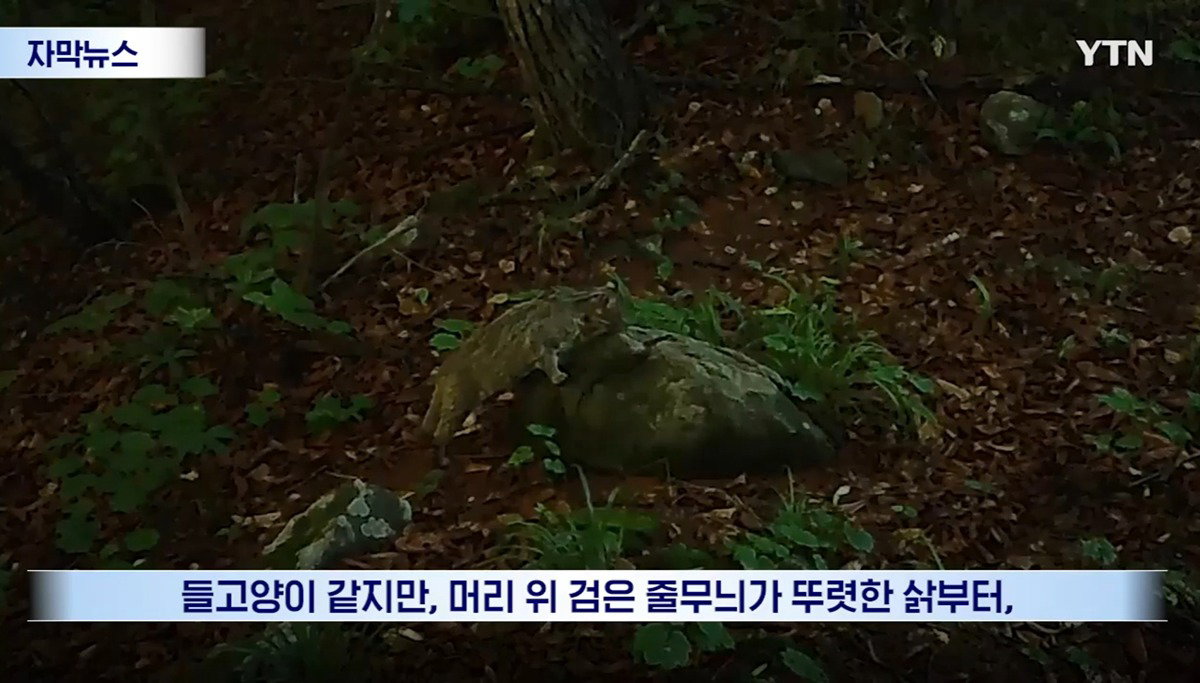수십억 들여 숲 사놓고 아무것도 안한 이유.jpg