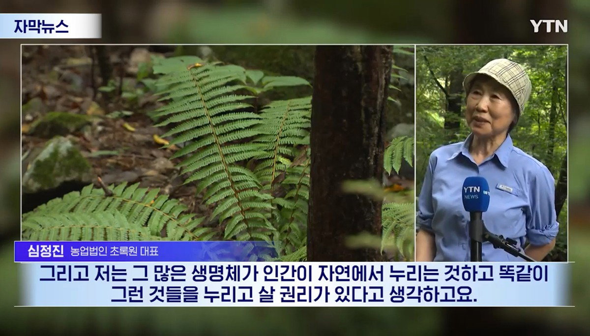 수십억 들여 숲 사놓고 아무것도 안한 이유.jpg