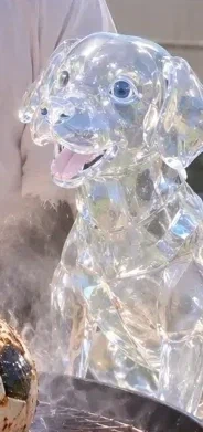 공지글 고소 사과문 깡계 당사자 개투명함