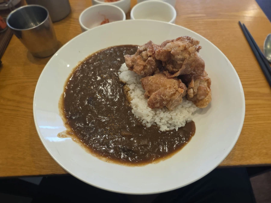 마운자로 1년차