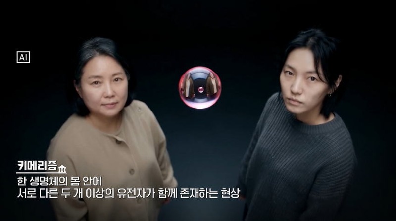 터무니없는 이유로 무죄 판결 받은 살인사건
