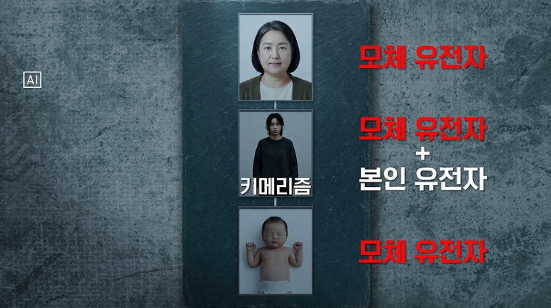 터무니없는 이유로 무죄 판결 받은 살인사건