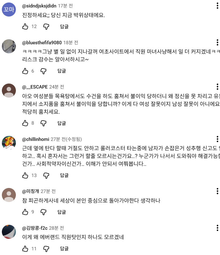 '여자 혼자 놀이기구 탔더니 생긴 일' 피해자 2차가해중인 남초