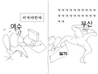 부산: 엌ㅋㅋㅋ 3미터 상어 나옴 ㅋㅋㅋㅋ