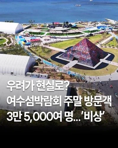 부산 상어 한마리 때문에 배로 욕 처먹는 행사.jpg