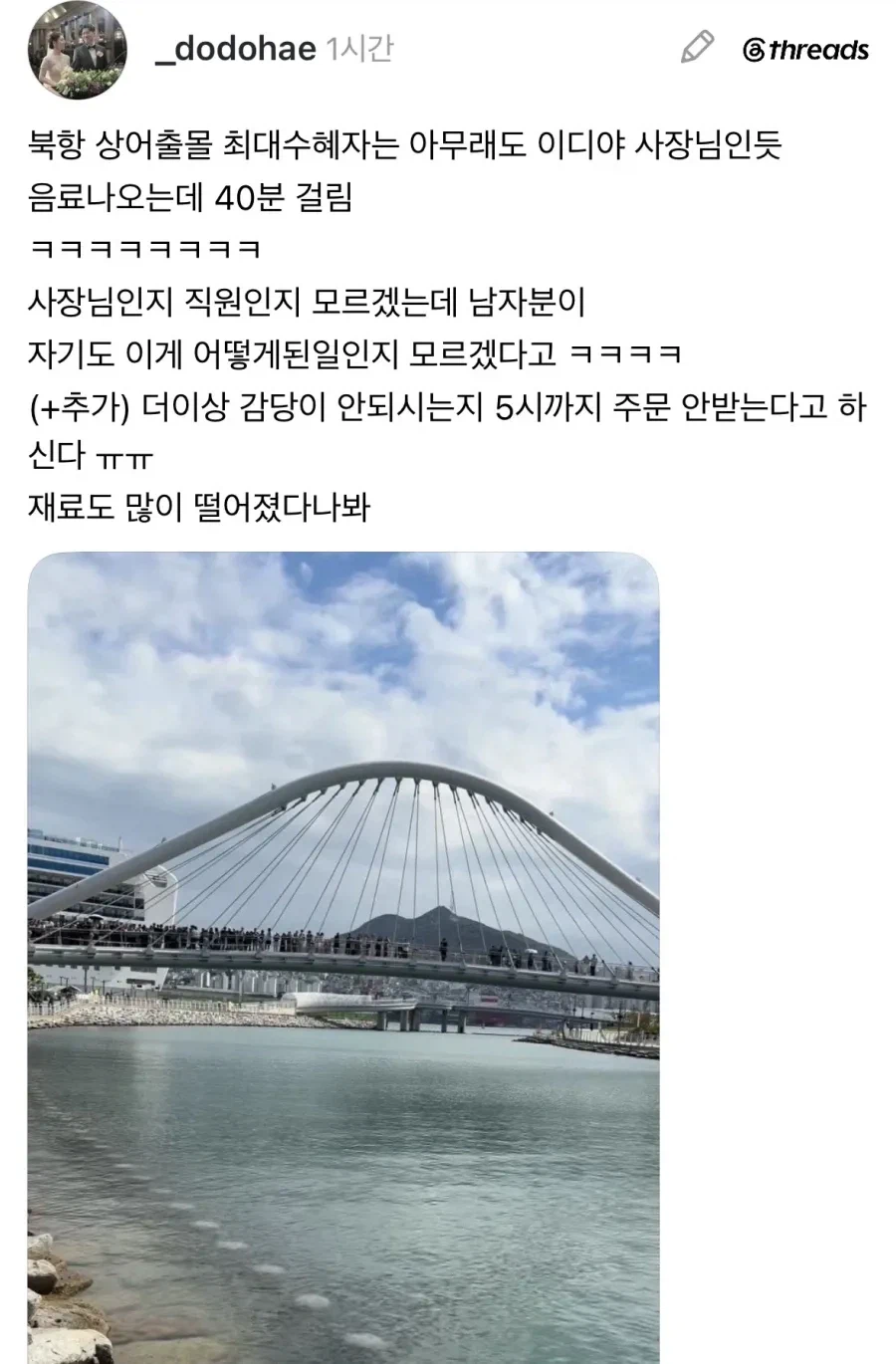 부산 상어 한마리 때문에 배로 욕 처먹는 행사.jpg