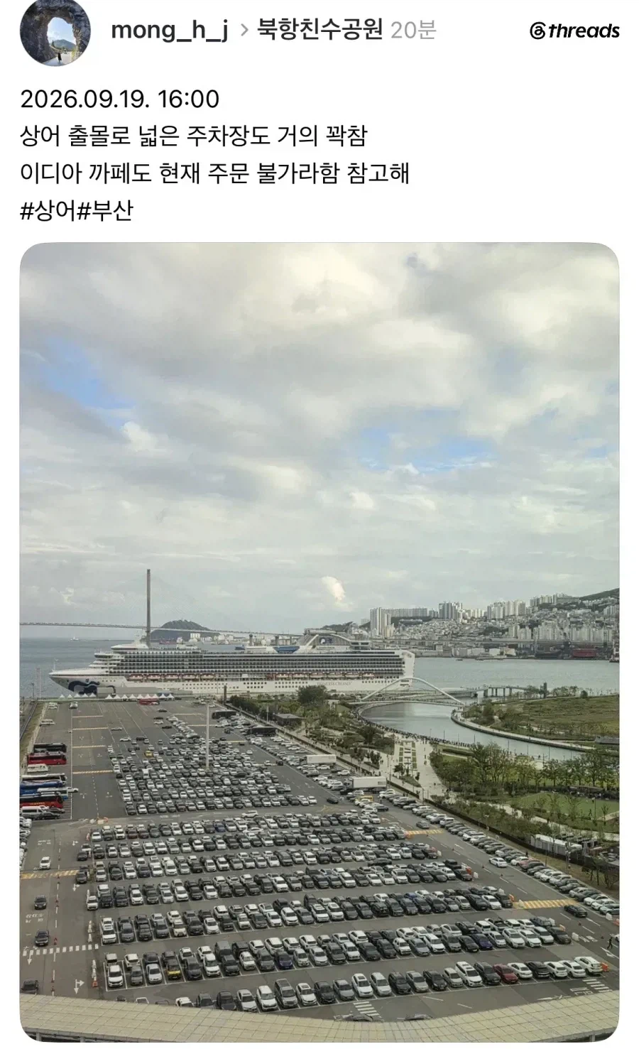 부산 상어 한마리 때문에 배로 욕 처먹는 행사.jpg