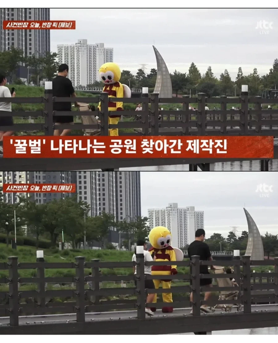 JTBC 사건반장 촬영거부한 꿀벌 인형탈