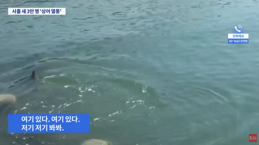 부산 상어 보려고 온 사람들 3일만에 3만명 몰렸다