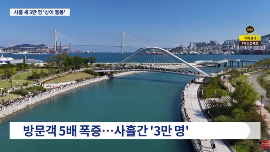 부산 상어 보려고 온 사람들 3일만에 3만명 몰렸다